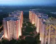 Capital City - DTC